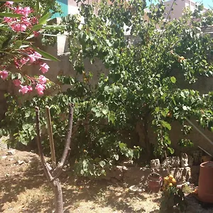  Appartement Coquet T3 à 500m De La